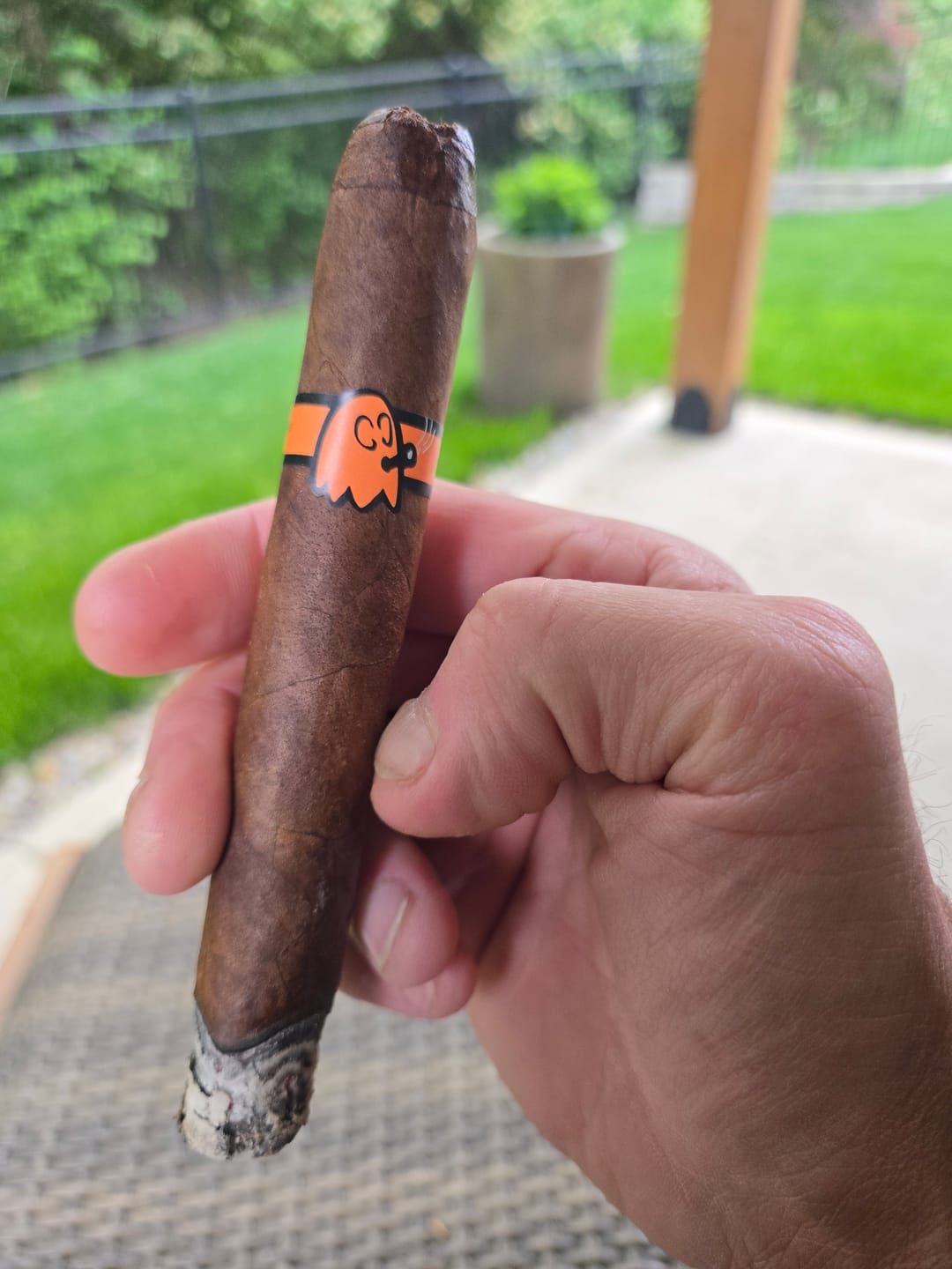 Customer photo review of The Mascot Sampler