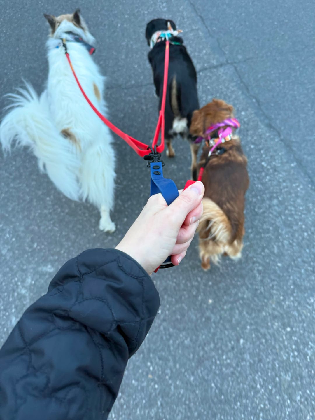 Customer photo review of Waterproof Traffic Handle | Built with BioThane®