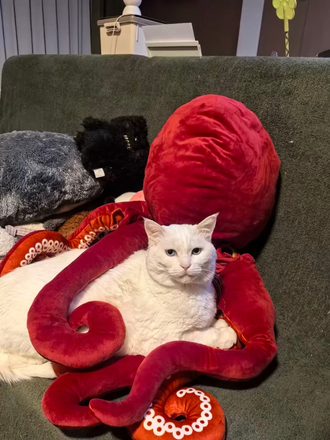 Customer photo review of Giant Pacific Octopus Plush Toy – Ultra-Realistic, Cuddly, and Perfect for Ocean Lovers