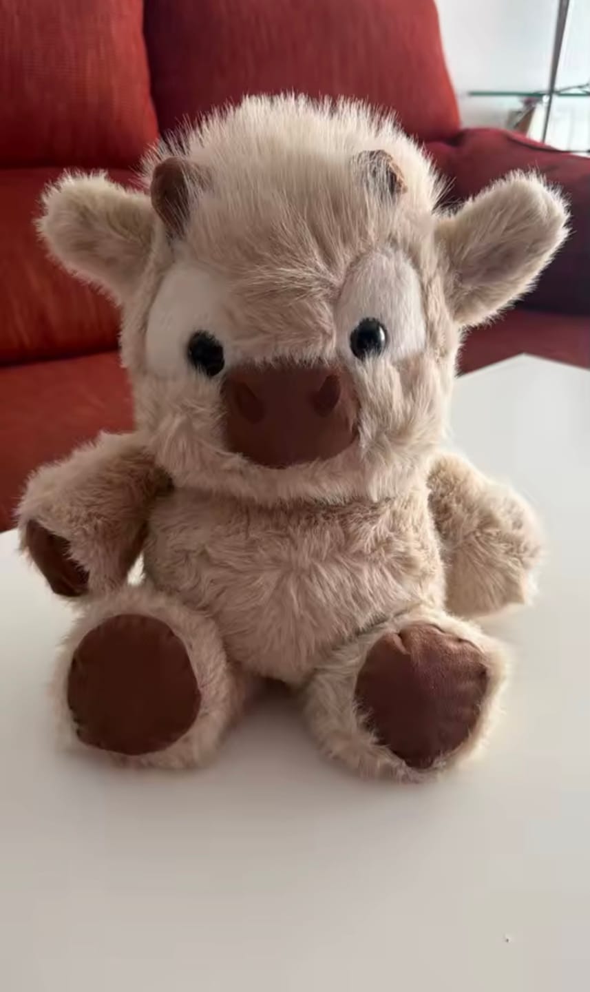 Customer photo review of Kiki & Koko los peluches que corren a tus brazos