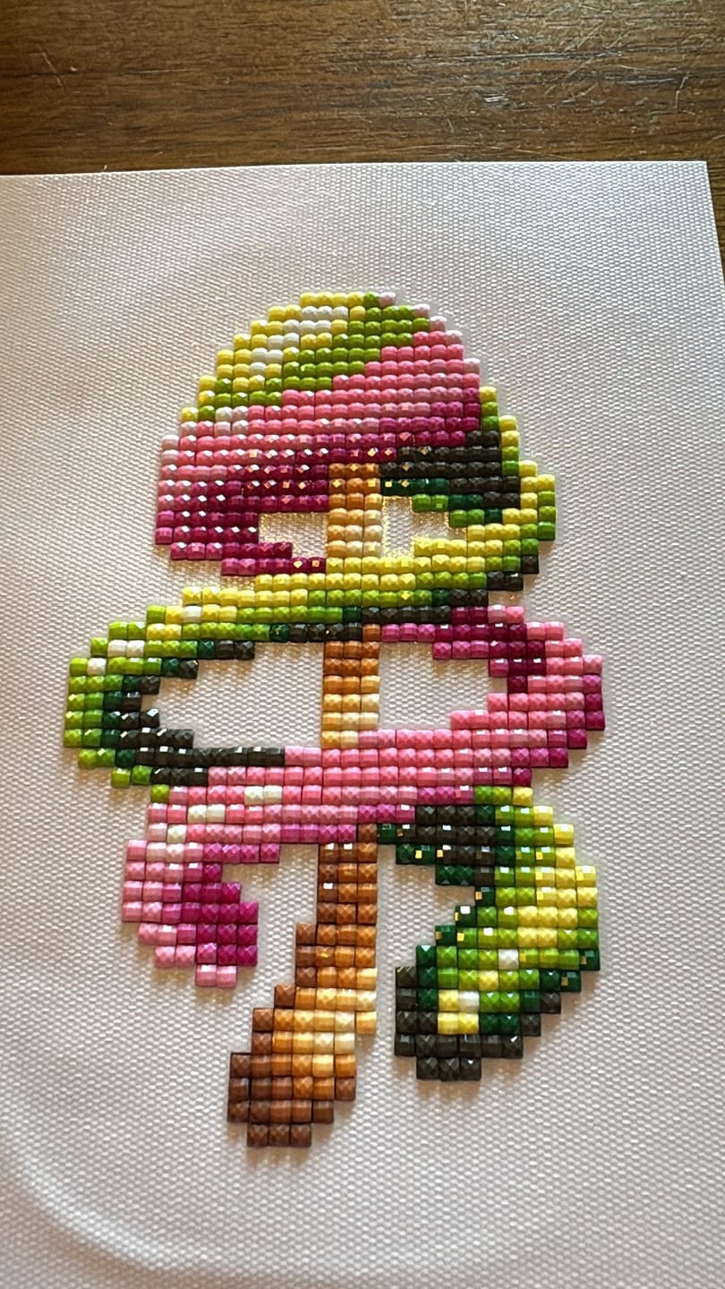 Customer photo review of Magic Mushroom Set