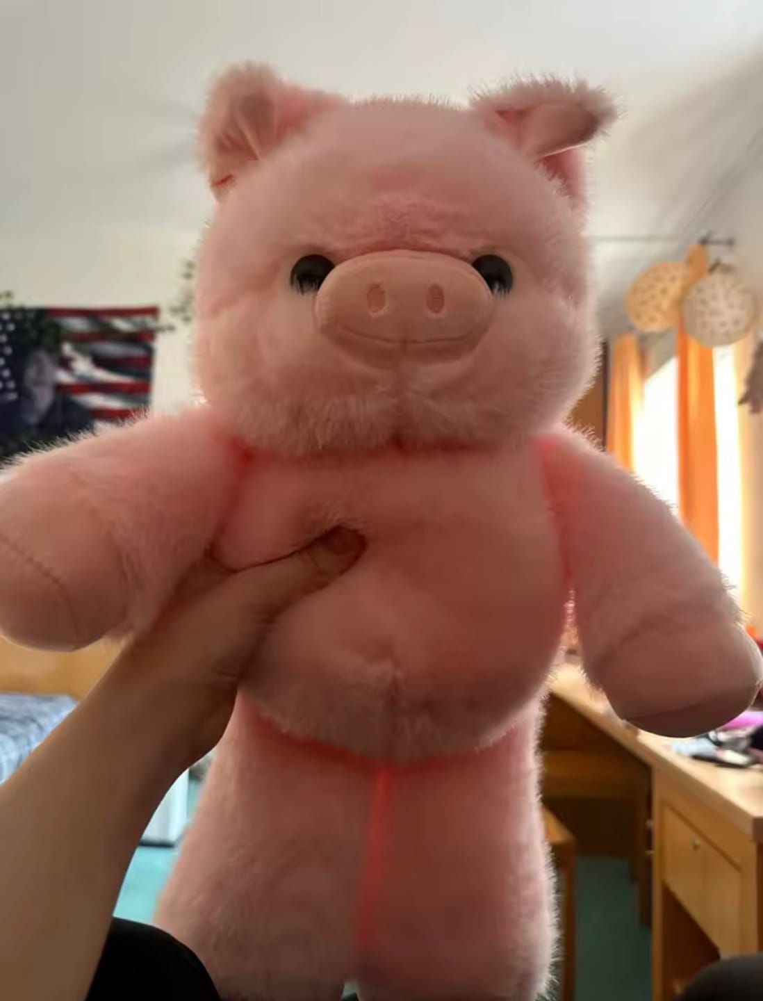 Customer photo review of Kiki & Koko los peluches que corren a tus brazos
