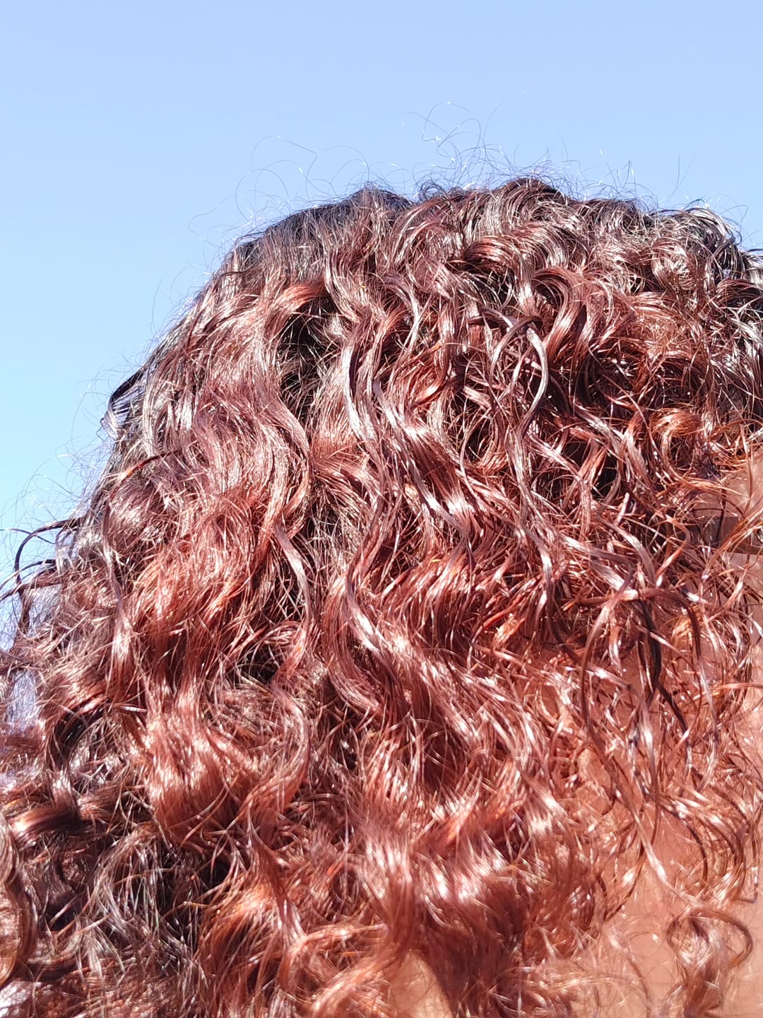 Customer photo review of Tinte 100% Natural - Castaño