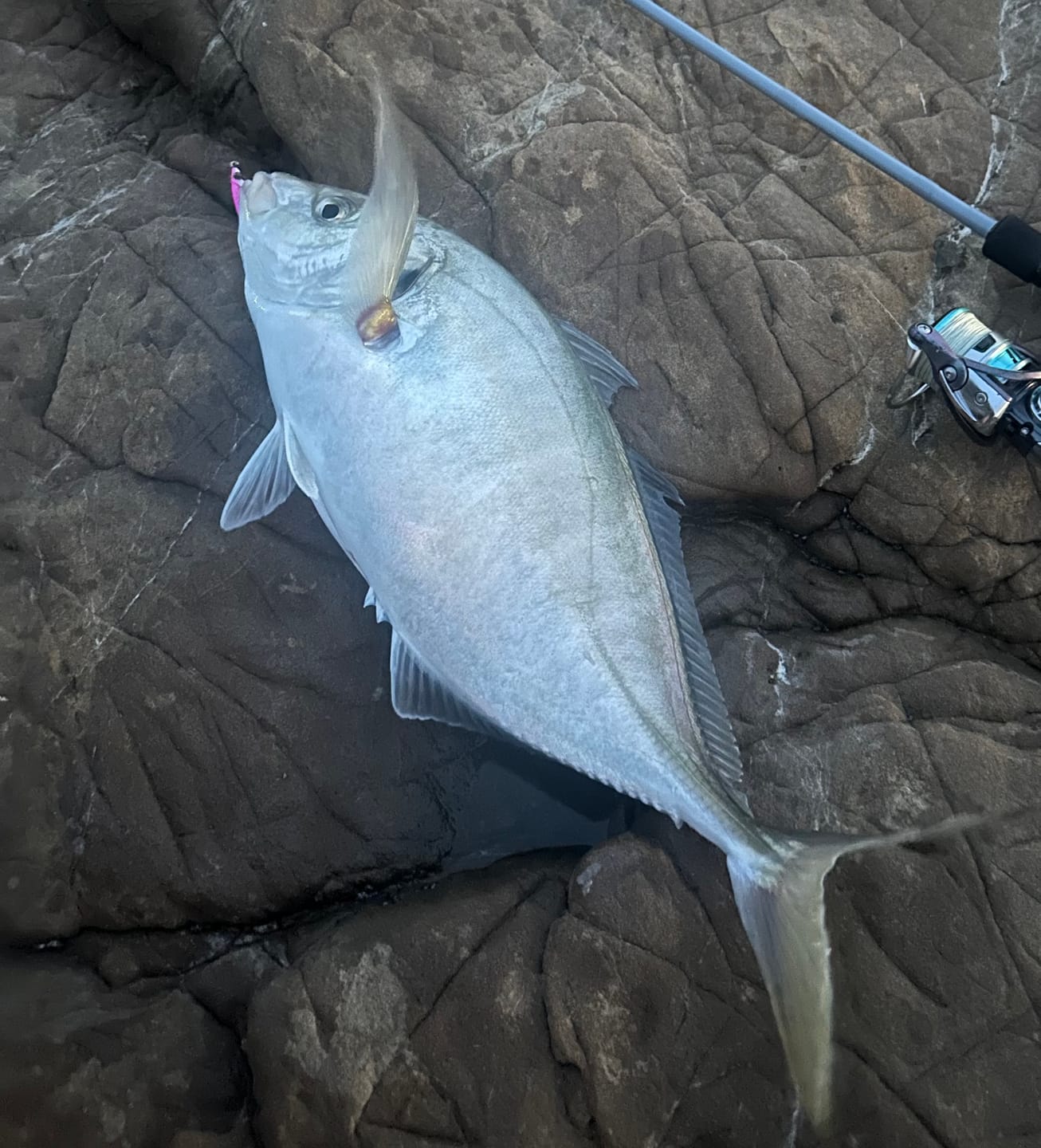 Customer photo review of Ocean Angler - Secret Sauce