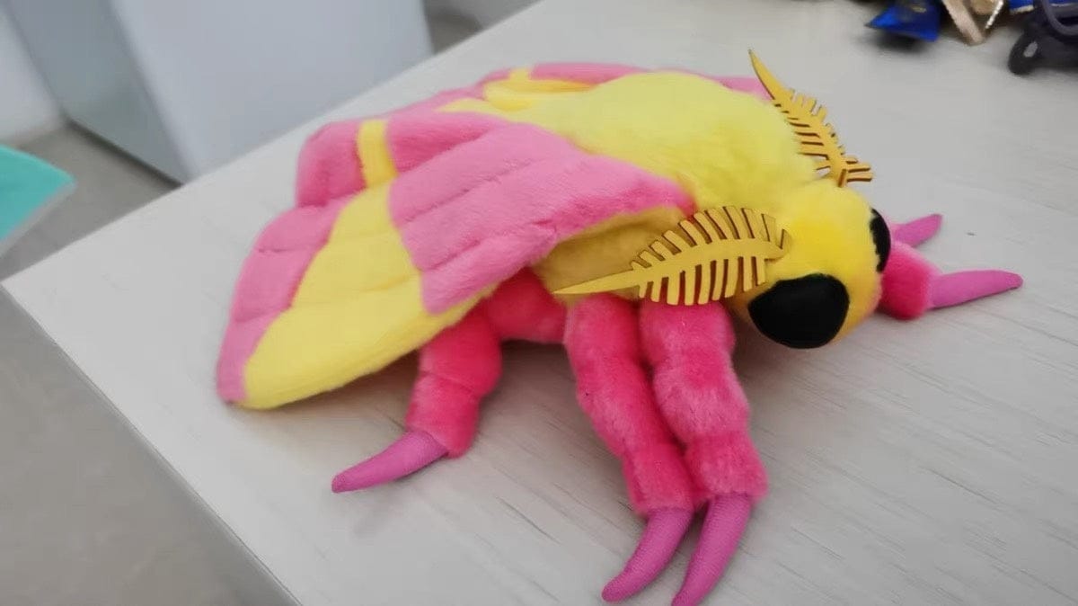 Customer photo review of Realistic Rosy Maple Moth Plush – Soft, Lifelike, and Perfect for Nature Lovers