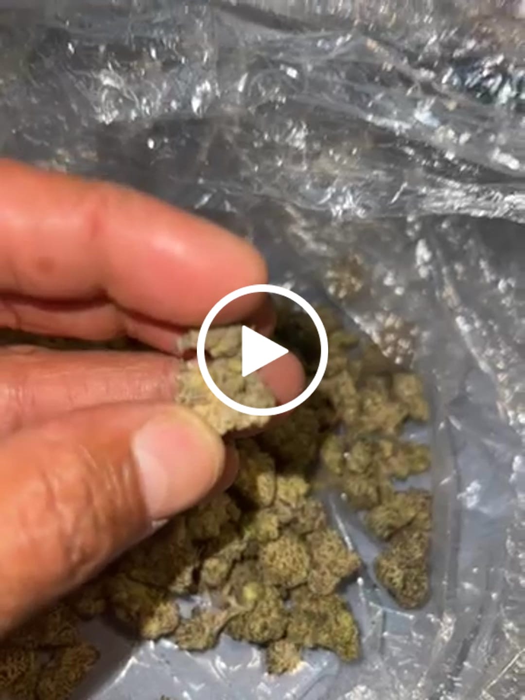 Customer video review of Elite Boutique Exotics Rapper Weed - Bulk - Hybrid