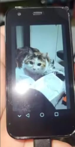 キッズポケットスマホに関するお客様の写真付きレビュー