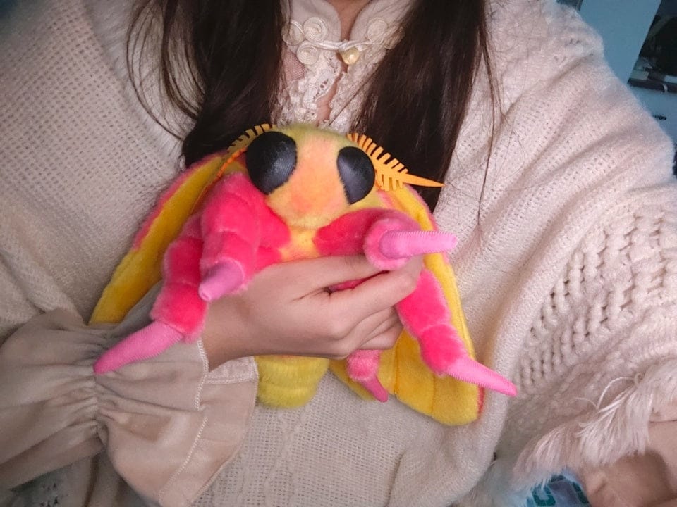 Customer photo review of Realistic Rosy Maple Moth Plush – Soft, Lifelike, and Perfect for Nature Lovers