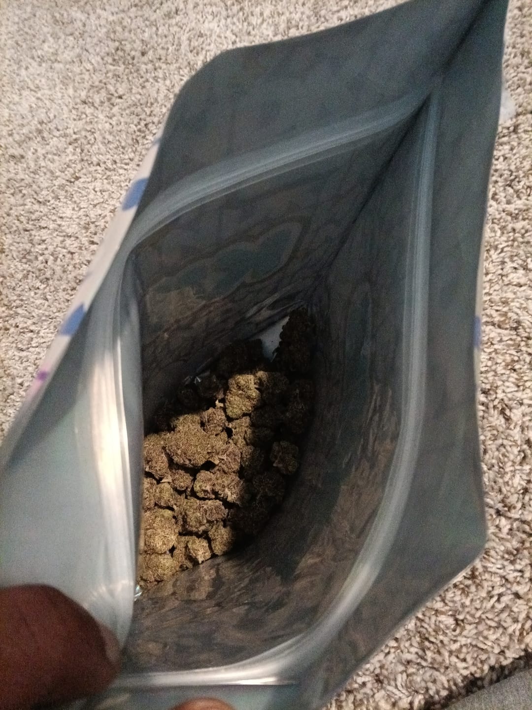 Customer photo review of Toad Venom Indoor - Bulk - Hybrid