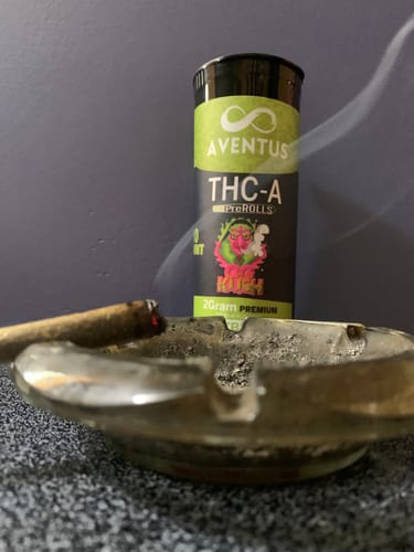 Customer photo review of THC-A pre-rolls Jar of 10 x 2G Og Kush HYBRID