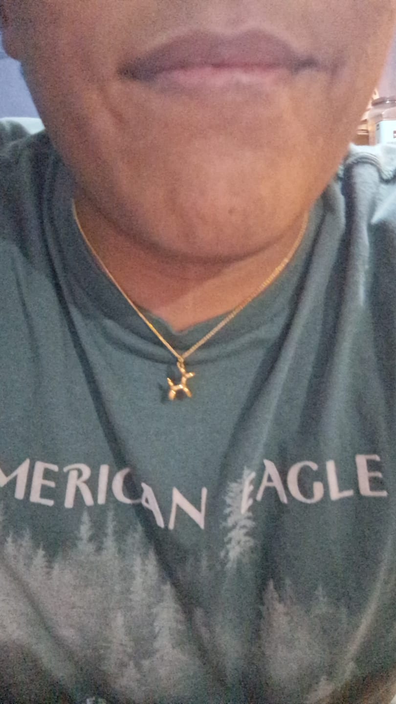 Customer photo review of Collar Doggy