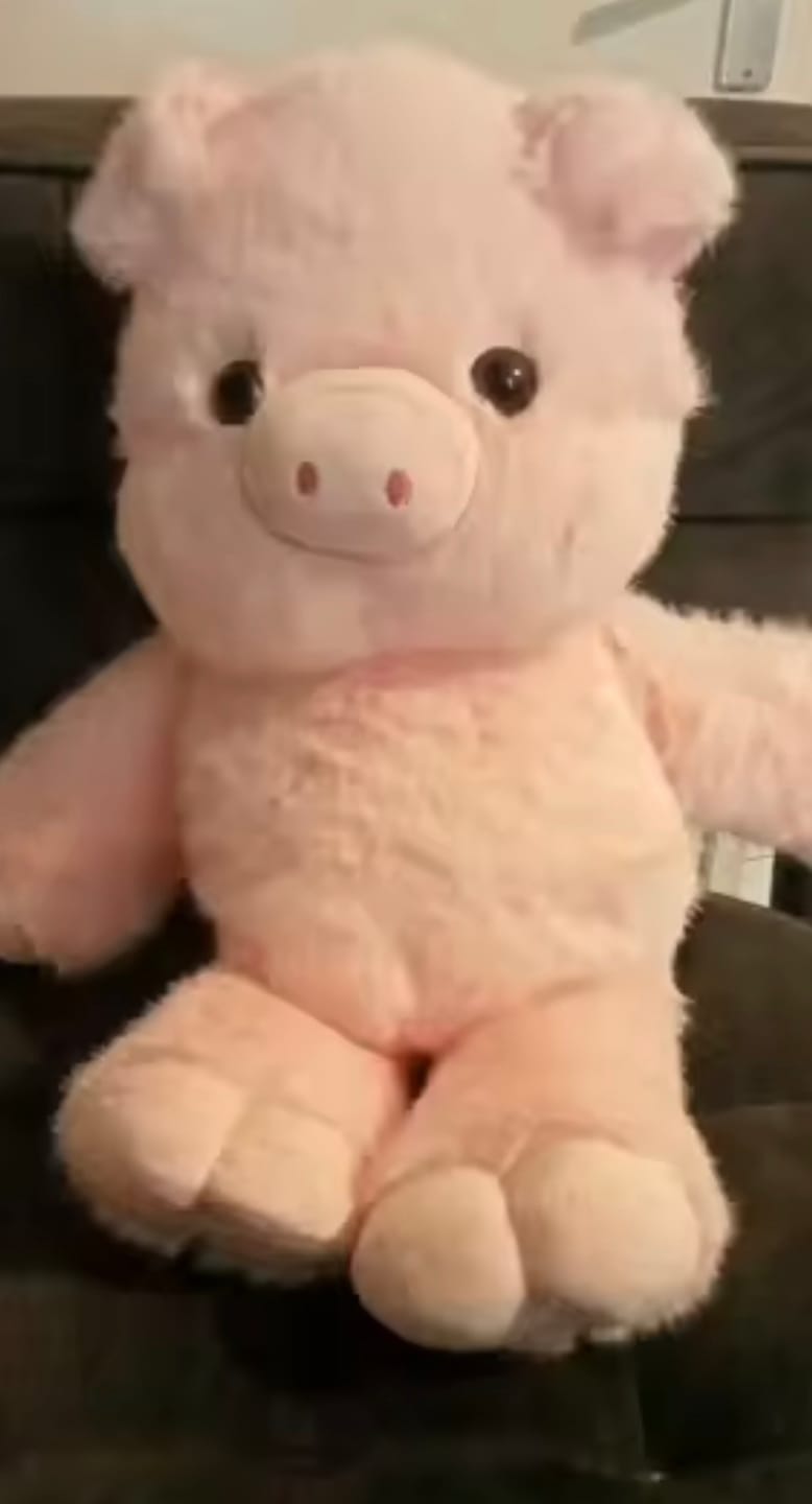 Customer photo review of Kiki & Koko los peluches que corren a tus brazos