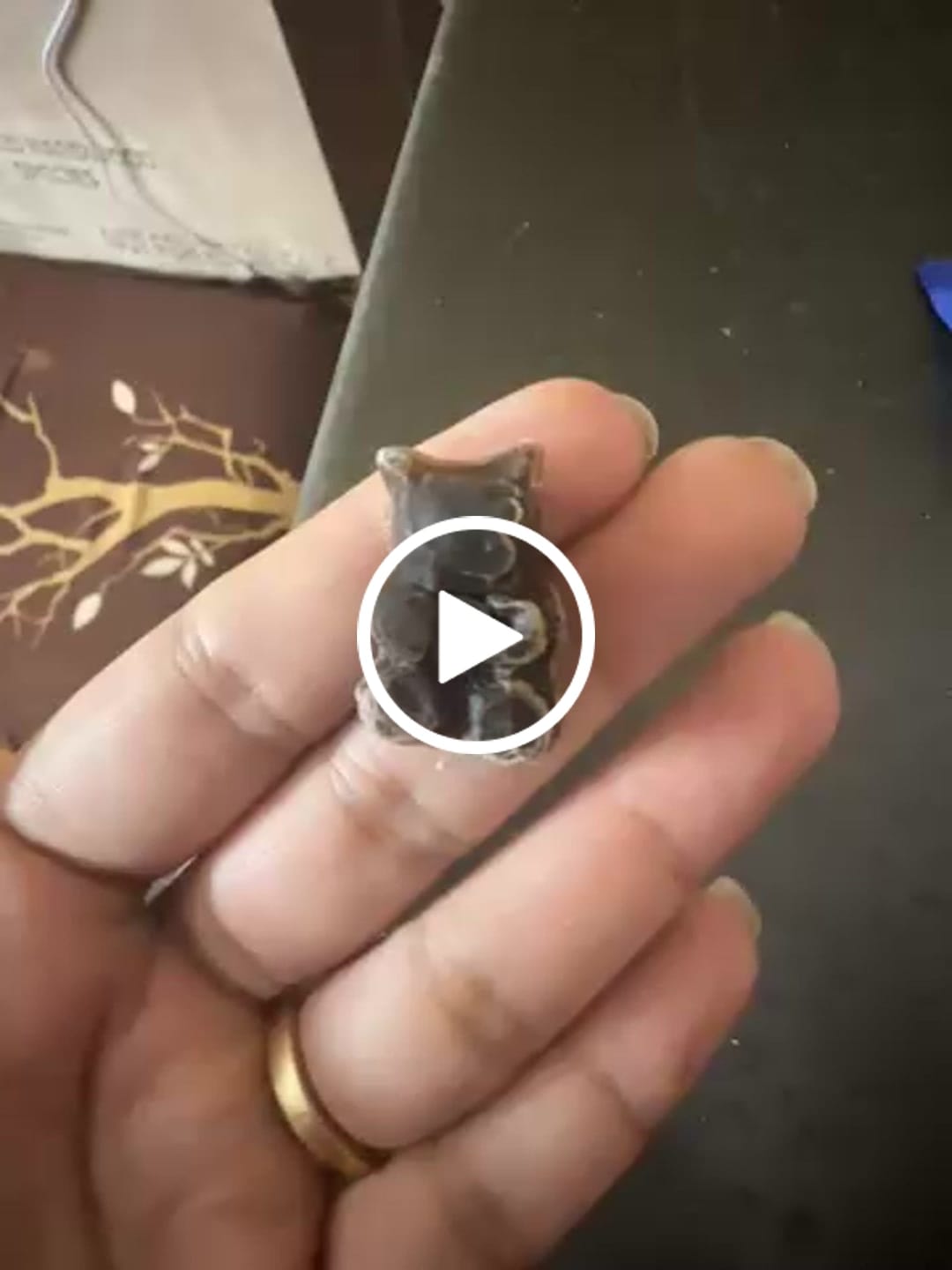 Customer video review of Dreamy Sleep Gummies