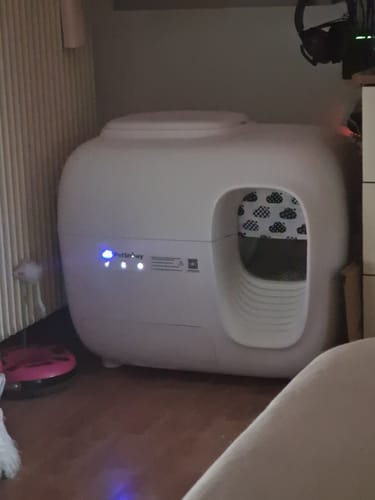 Customer photo review of Self-Cleaning Litter Box