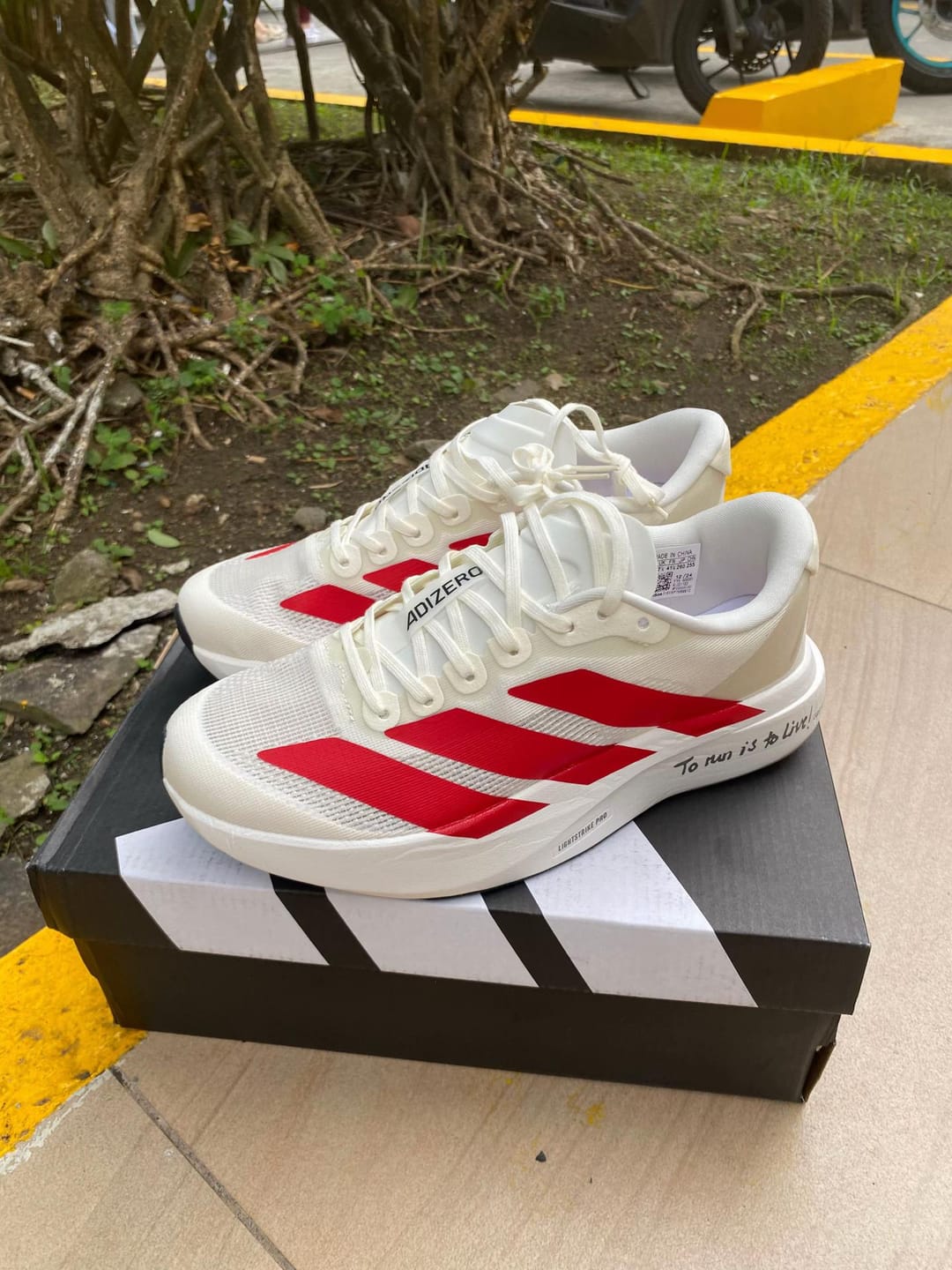 Customer photo review of Adidas Adizero EVO SL Off White Better Scarlet Men's