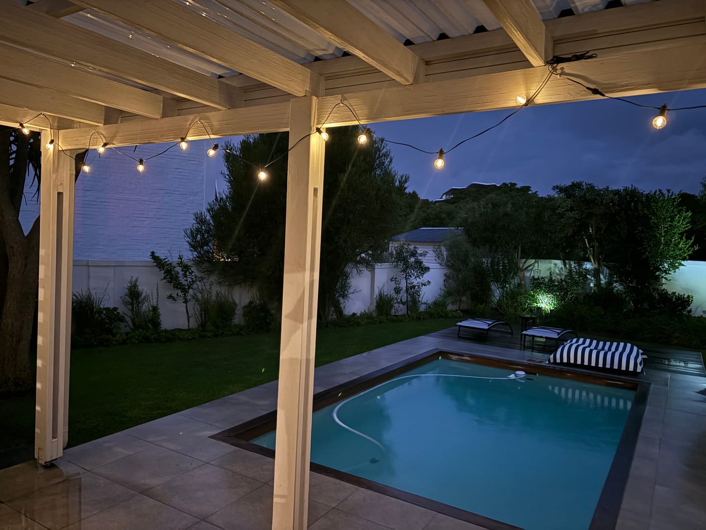 Customer photo review of Solar Mini Bulb String Lights