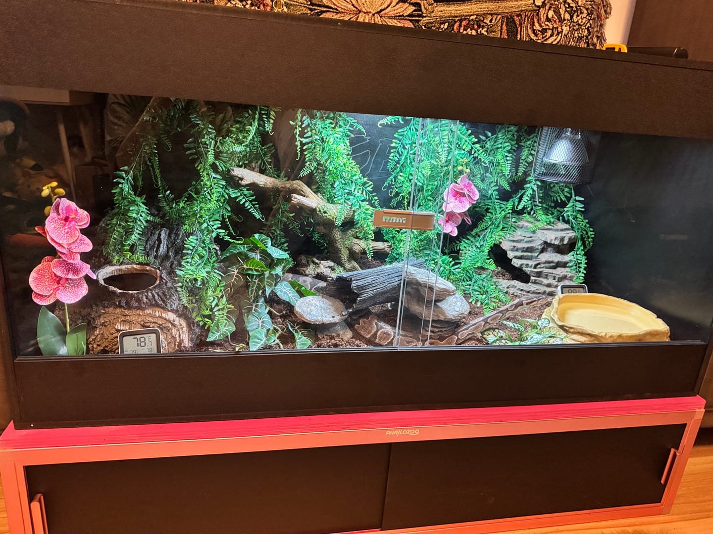 Customer photo review of 48"x24"x24" / 4'x2'x2' Premium PVC Reptile Enclosure
