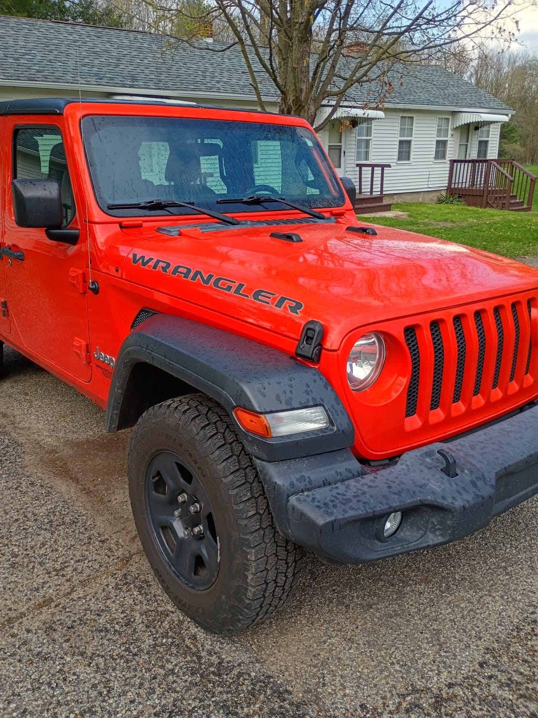 Customer photo review of Wrangler Hood Lettering - Colored Outline