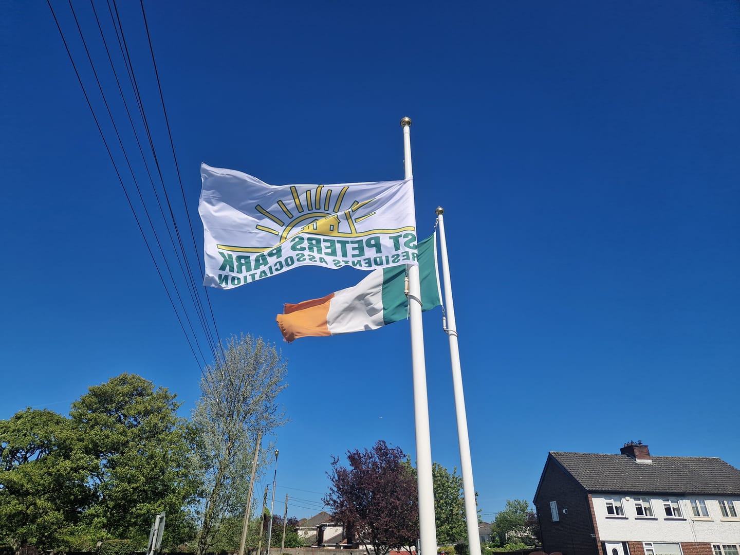 Customer photo review of Personalised Standard Flag