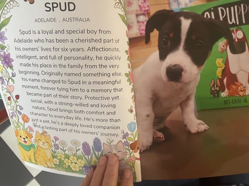 Customer photo review of Cutest Pets of Pupvote Spring 2026