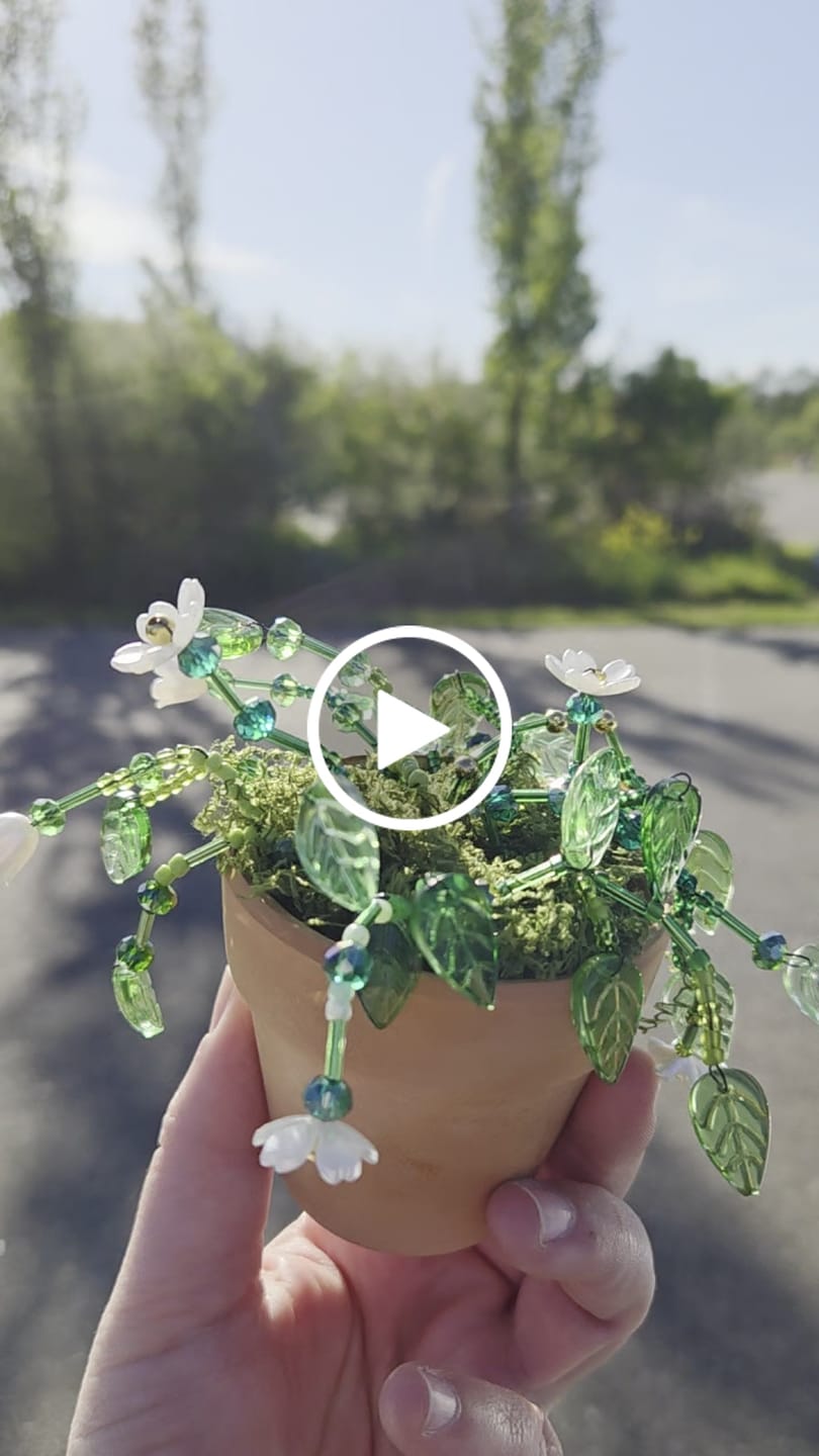 Customer video review of Workshop: Maak je eigen kralenplantje (meest gekozen)