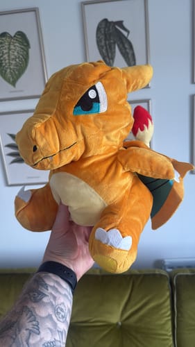 Customer photo review of Charizard | Driver Cover