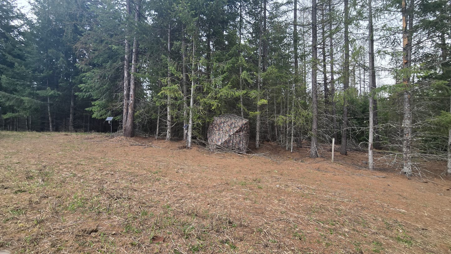 Customer photo review of FLASH SALE VisX/VisMax 270 Degree Ground Blind | See-Through Duck Blind & Portable Pop-Up Deer Blind | Camouflage Hunting Blinds & Best Budget Ground Options