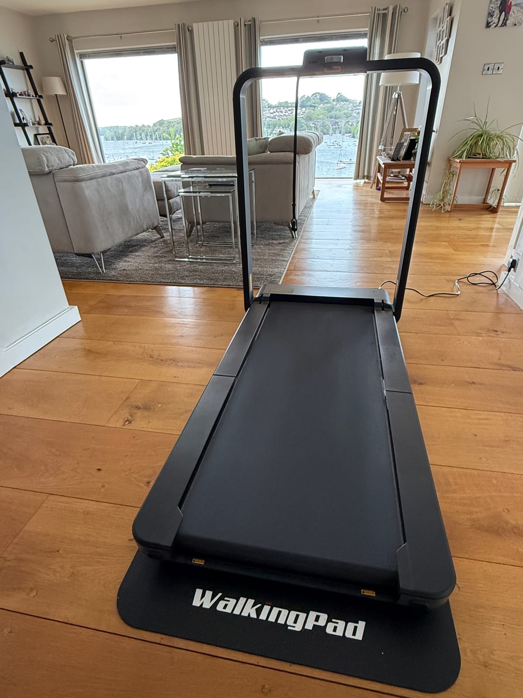 Customer photo review of WalkingPad X21