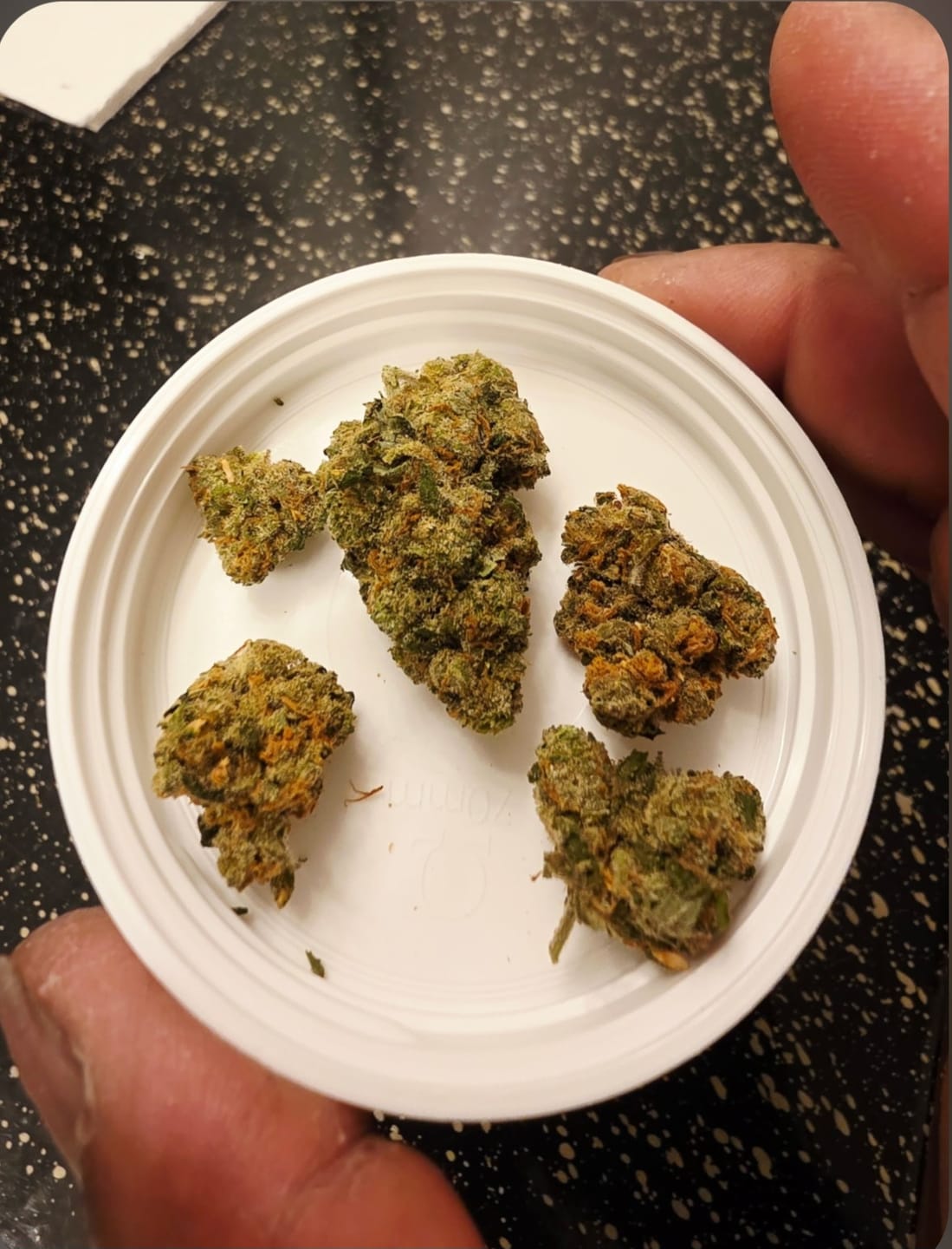 Customer photo review of Jack Herer - Indoor - 14 Grams - Sativa