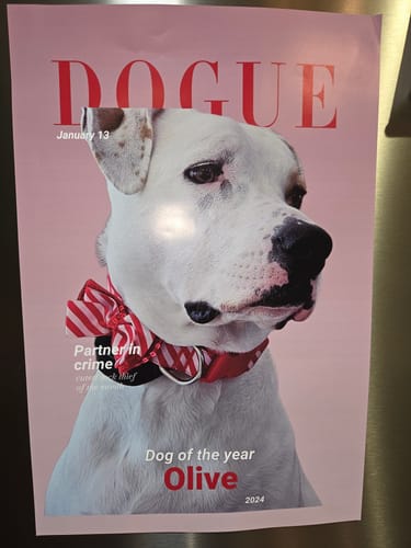 Customer photo review of Dogue - Personalized Poster
