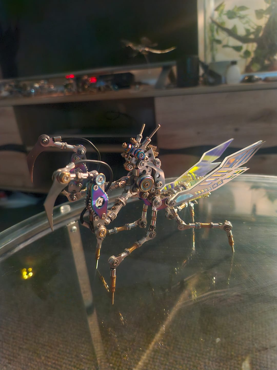 Customer photo review of Emerald Mantis