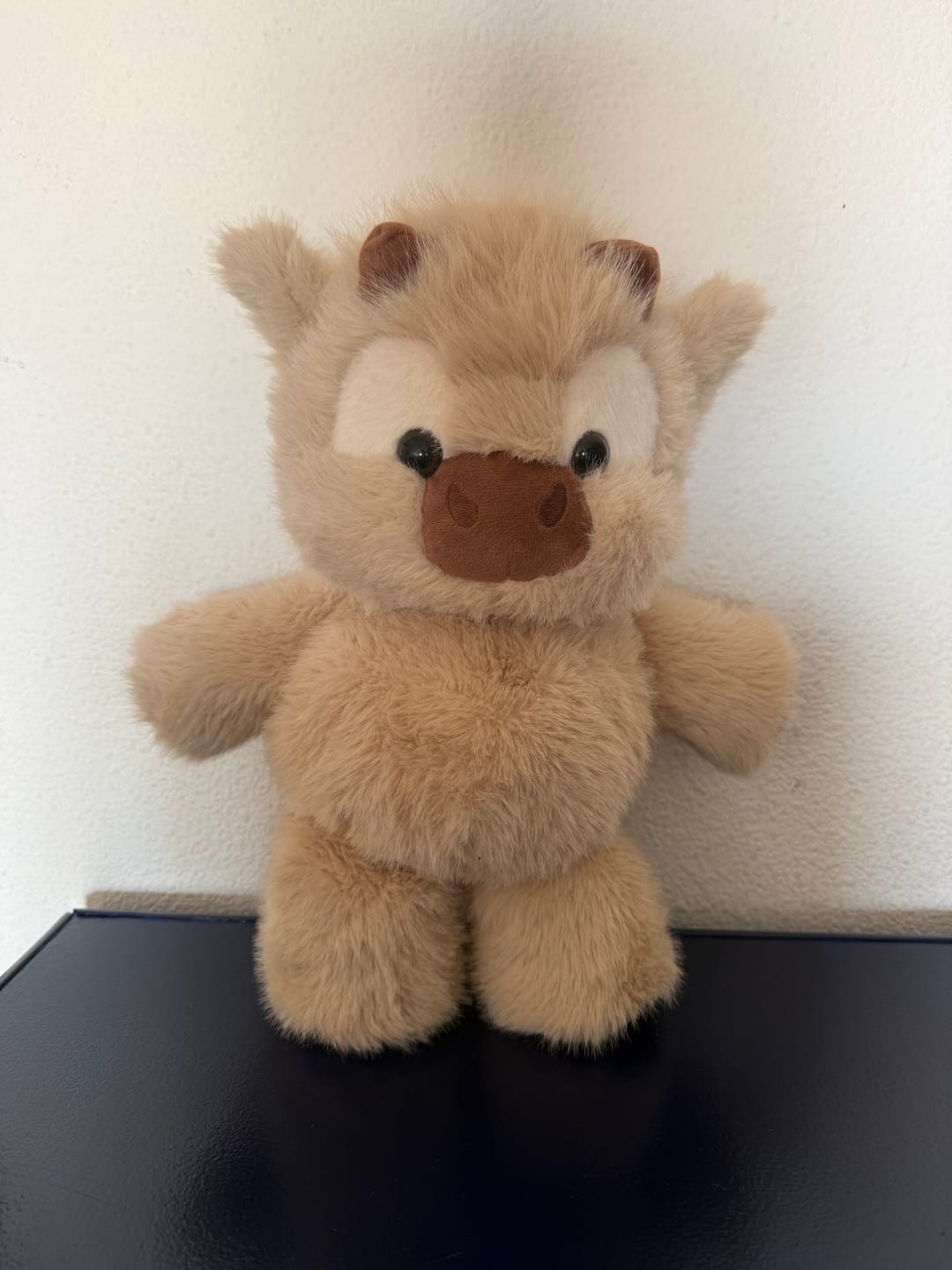 Customer photo review of Kiki & Koko los peluches que corren a tus brazos