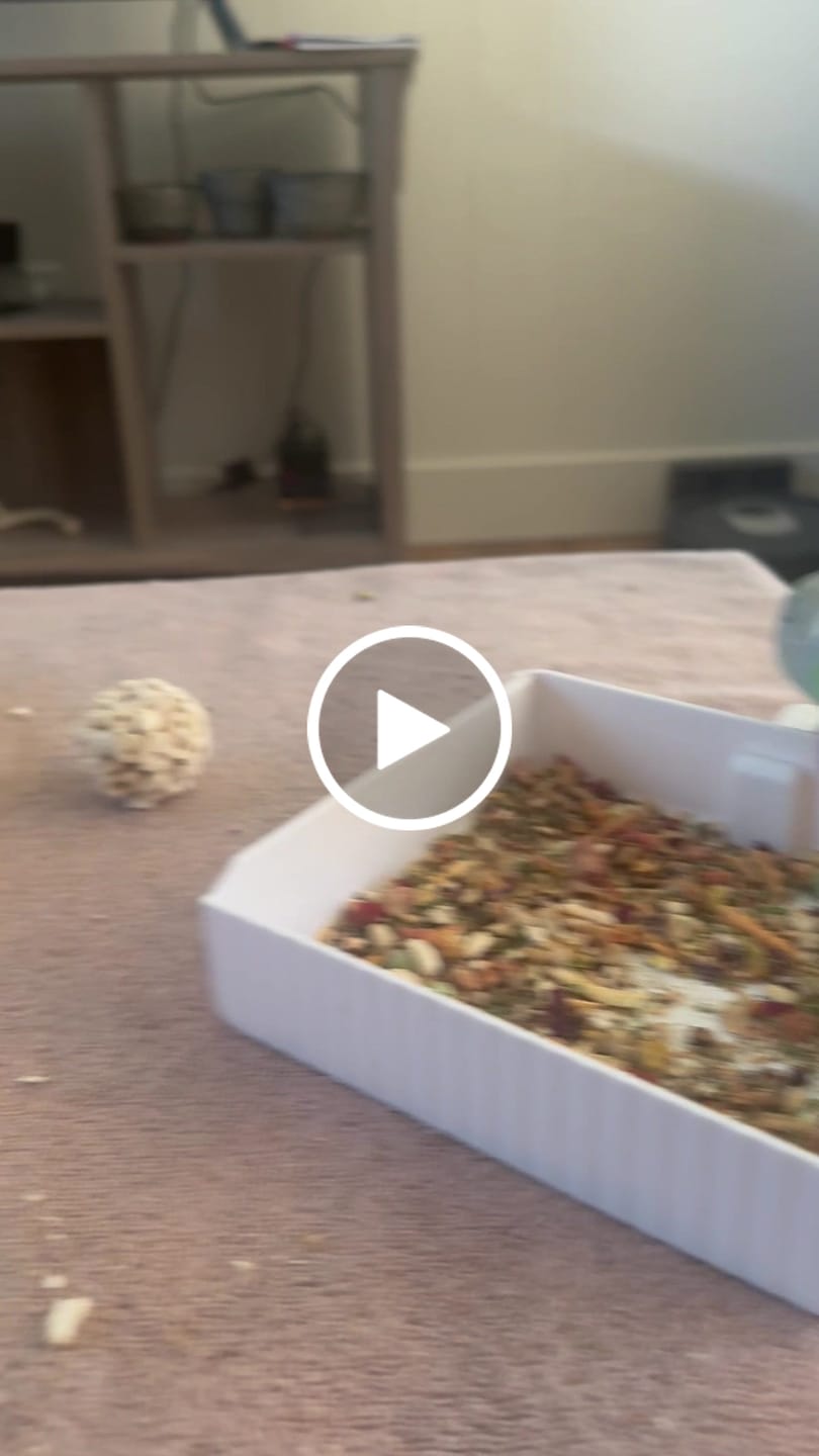 Customer video review of Whole Balance by Bird Bites - Cooked & Freeze Dried Grains & Legumes