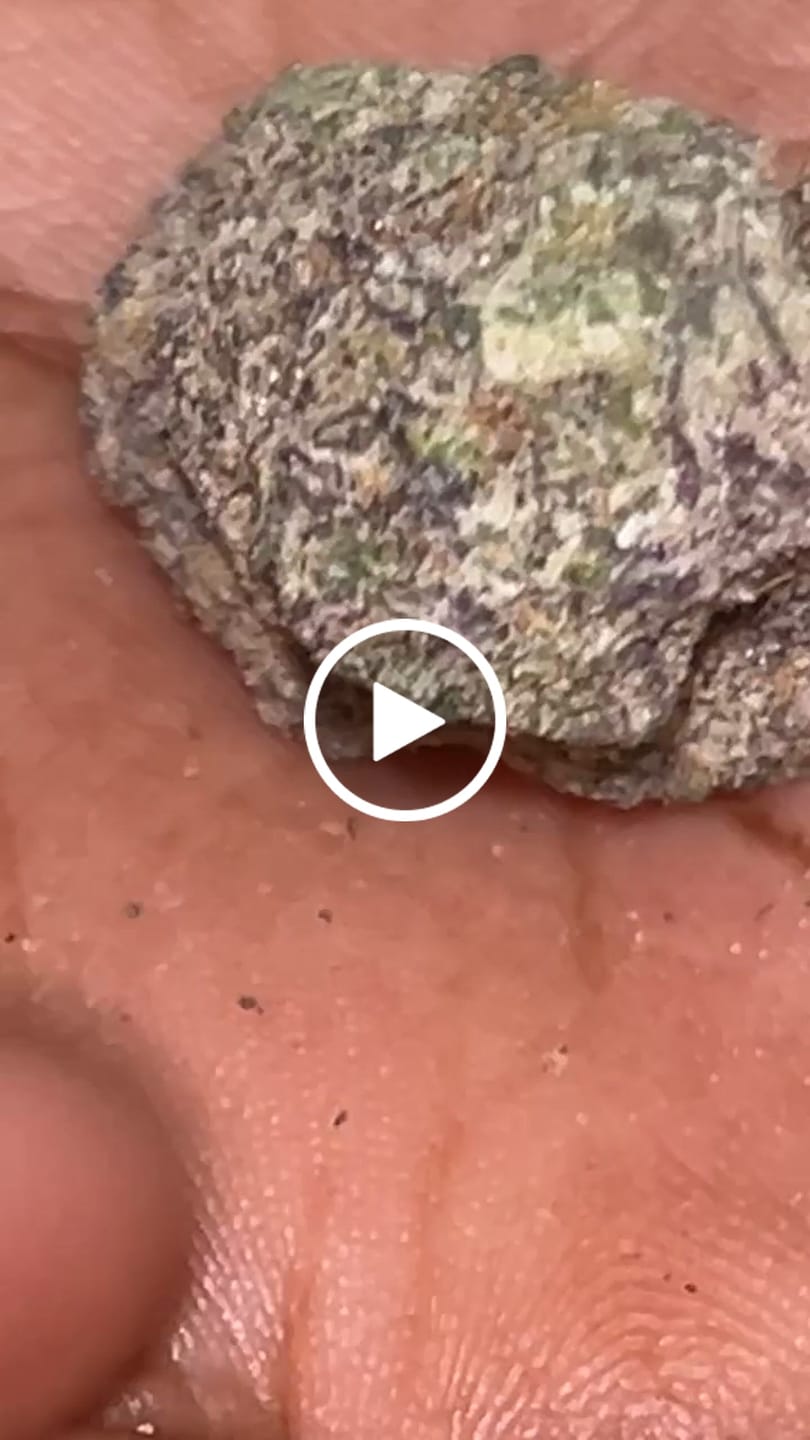 Customer video review of Butterscotch OG - Bulk - Indica