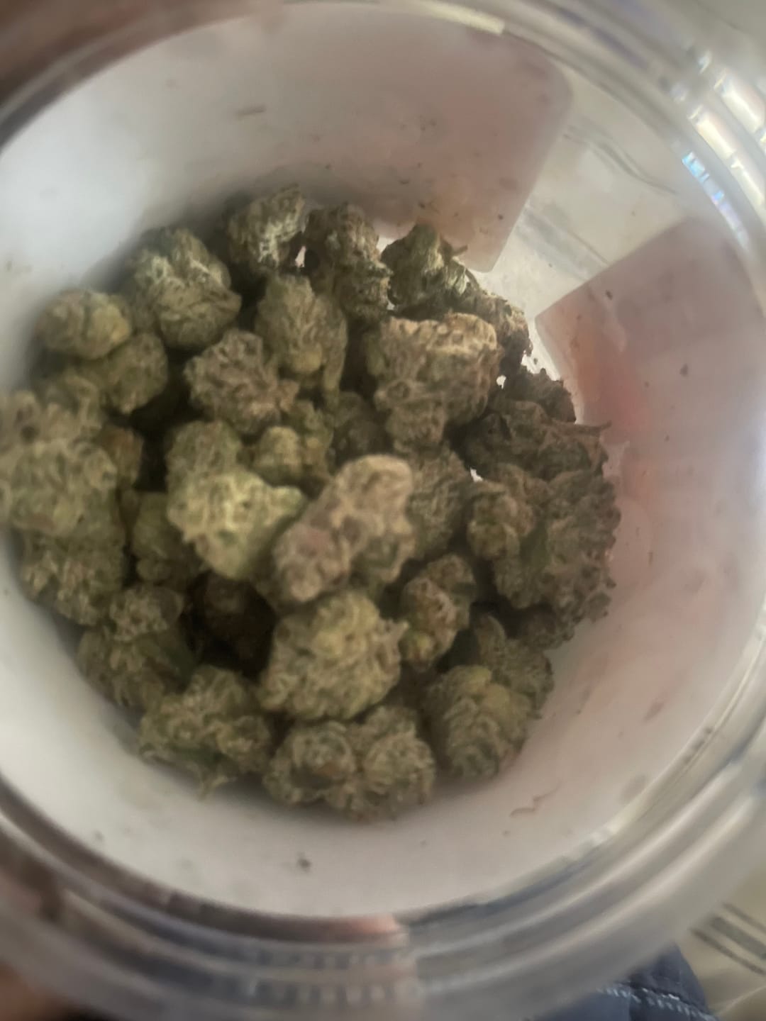 Customer photo review of Boutique Exotics - Obama Runtz - Minis - 14 Grams - Hybrid
