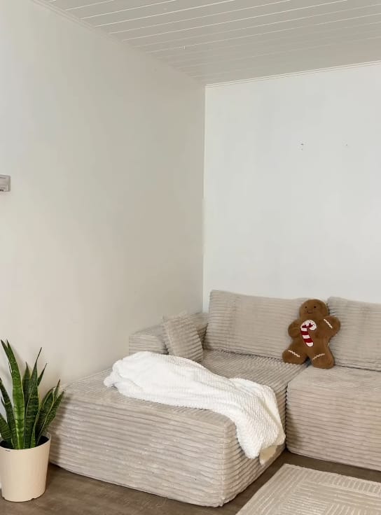 Customer photo review of Astra Sleeper Sectional Sofa