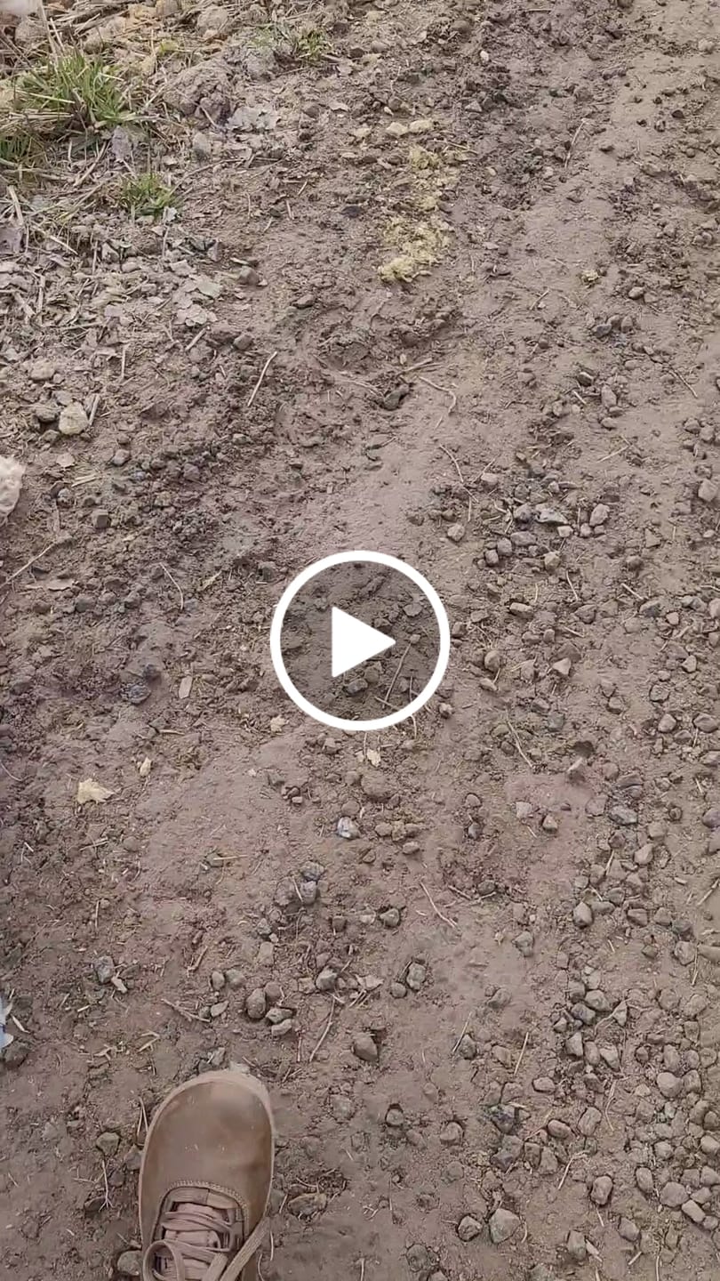 Customer video review of Vaistoa Uoma 2 | Barefoot Trekking Boots