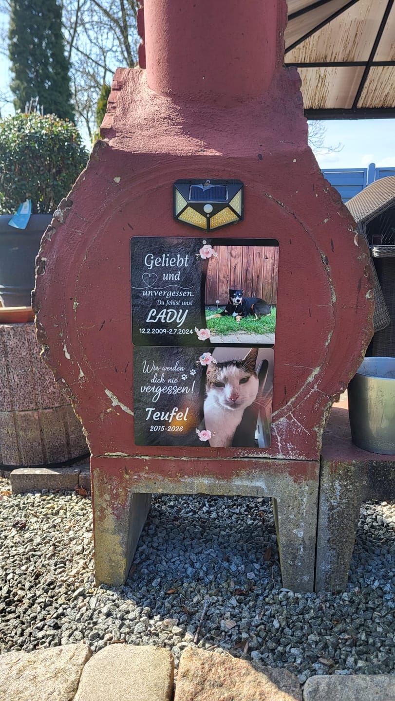 Customer photo review of Katzen Gedenktafel mit Foto & Spruch (UV- & Wetterfest)