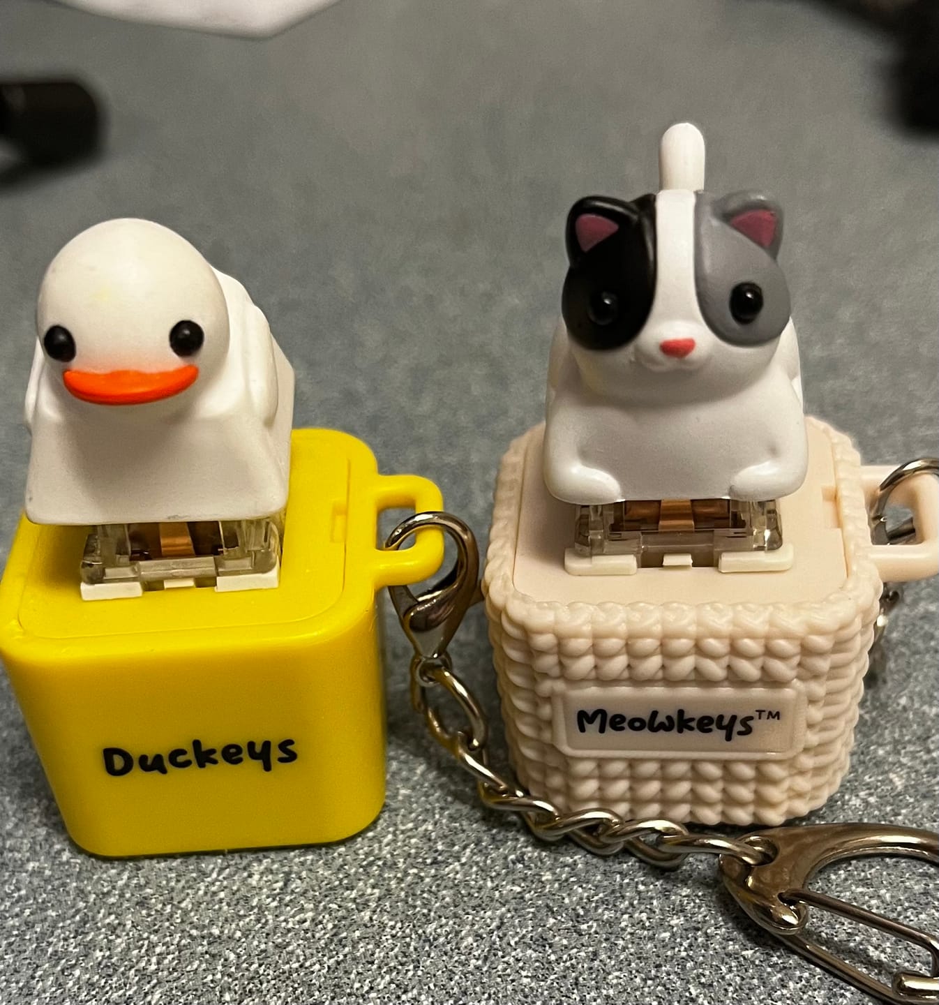 Customer photo review of [PRE-ORDER] Meowkey - Fidget Toy that Meows!