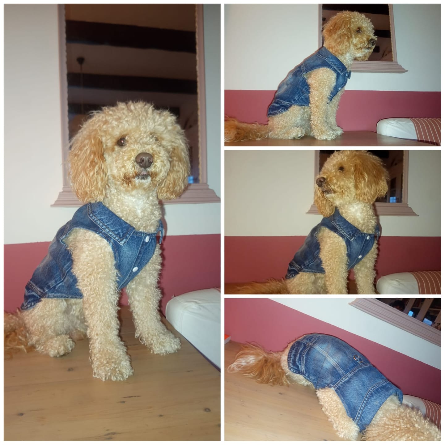 Customer photo review of Qui abita - Zerbino personalizzato