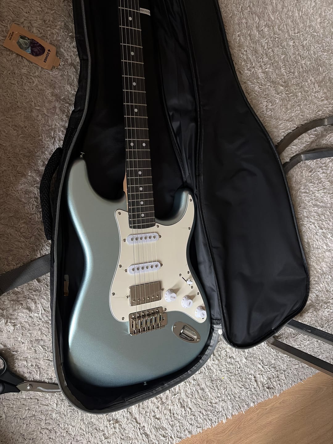 Customer photo review of Donner DST-152 Electric Guitar Kit