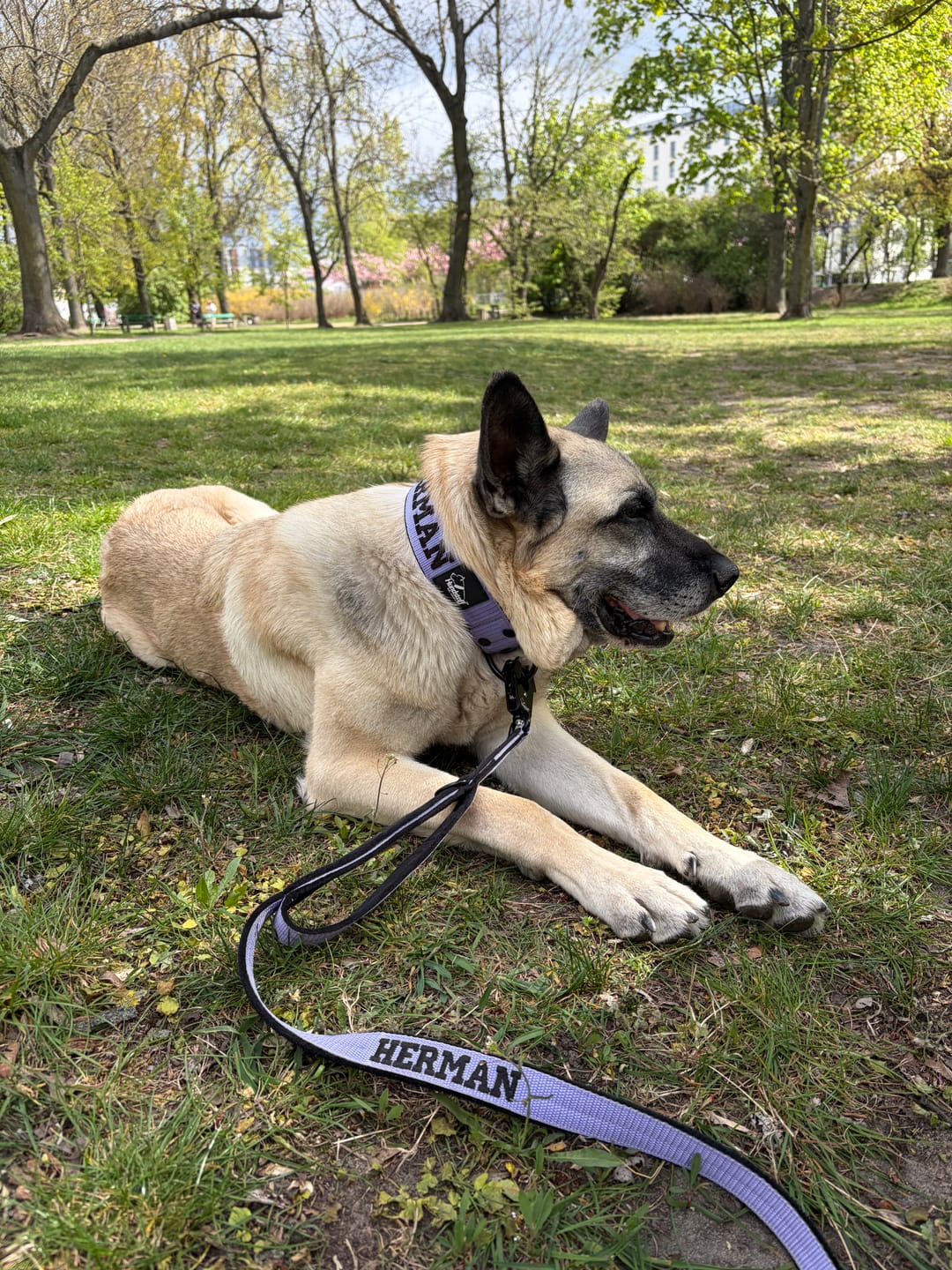 Customer photo review of Smycz przepinana dla psa z imieniem - Personal Multi Leash