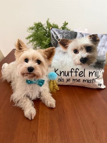 Customer photo review of Knuffel mij als je me mist - Gepersonaliseerde kussen