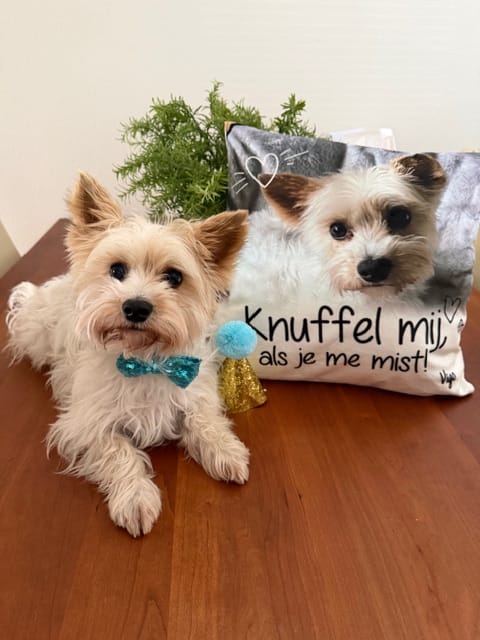 Customer photo review of Knuffel mij als je me mist - Gepersonaliseerde kussen