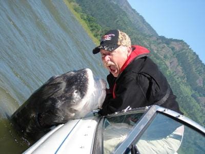 Customer photo review of Guide Series Halibut Rig