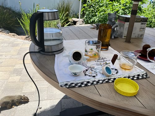Customer photo review of Spring 2025 Fa Zhan He