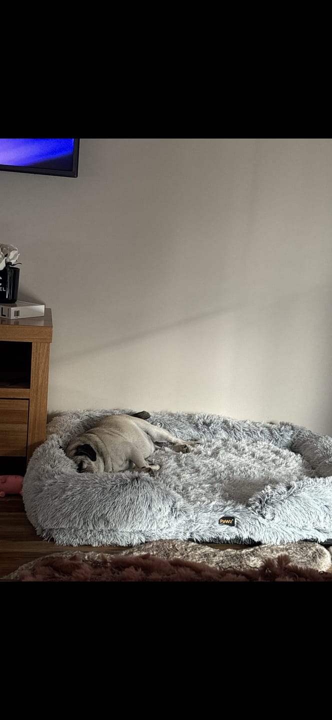 Customer photo review of Pet Orthopaedic Bed