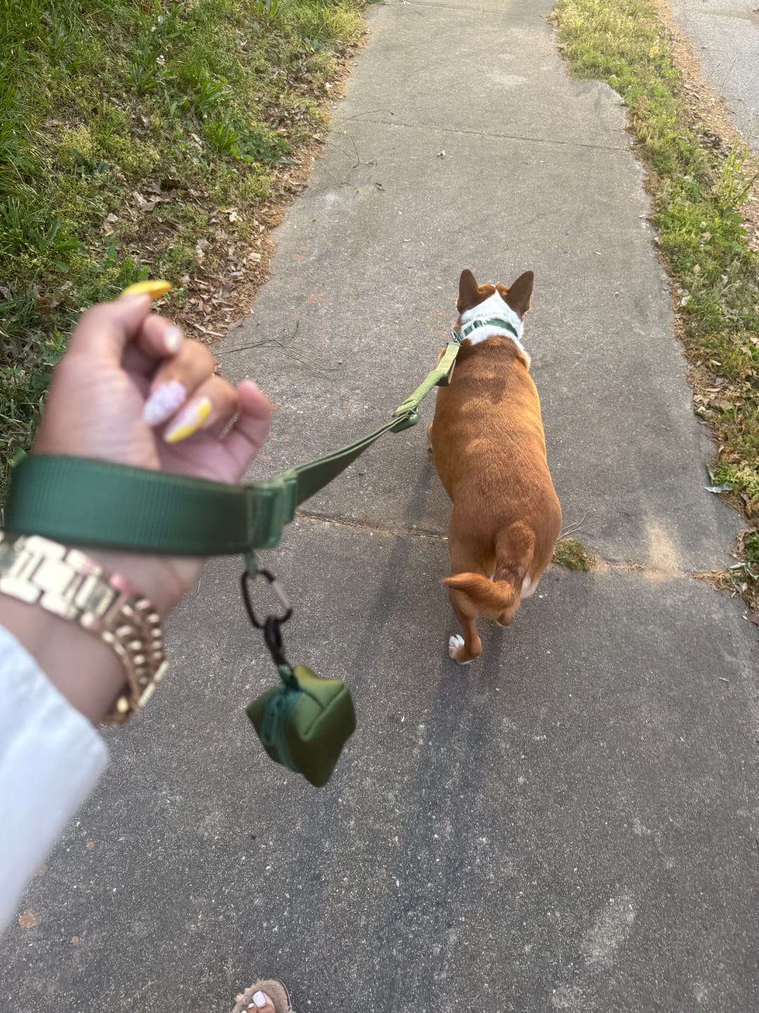 Customer photo review of Multipurpose Seatbelt Handsfree Leash & Poop Bag Holder Set - Army Green