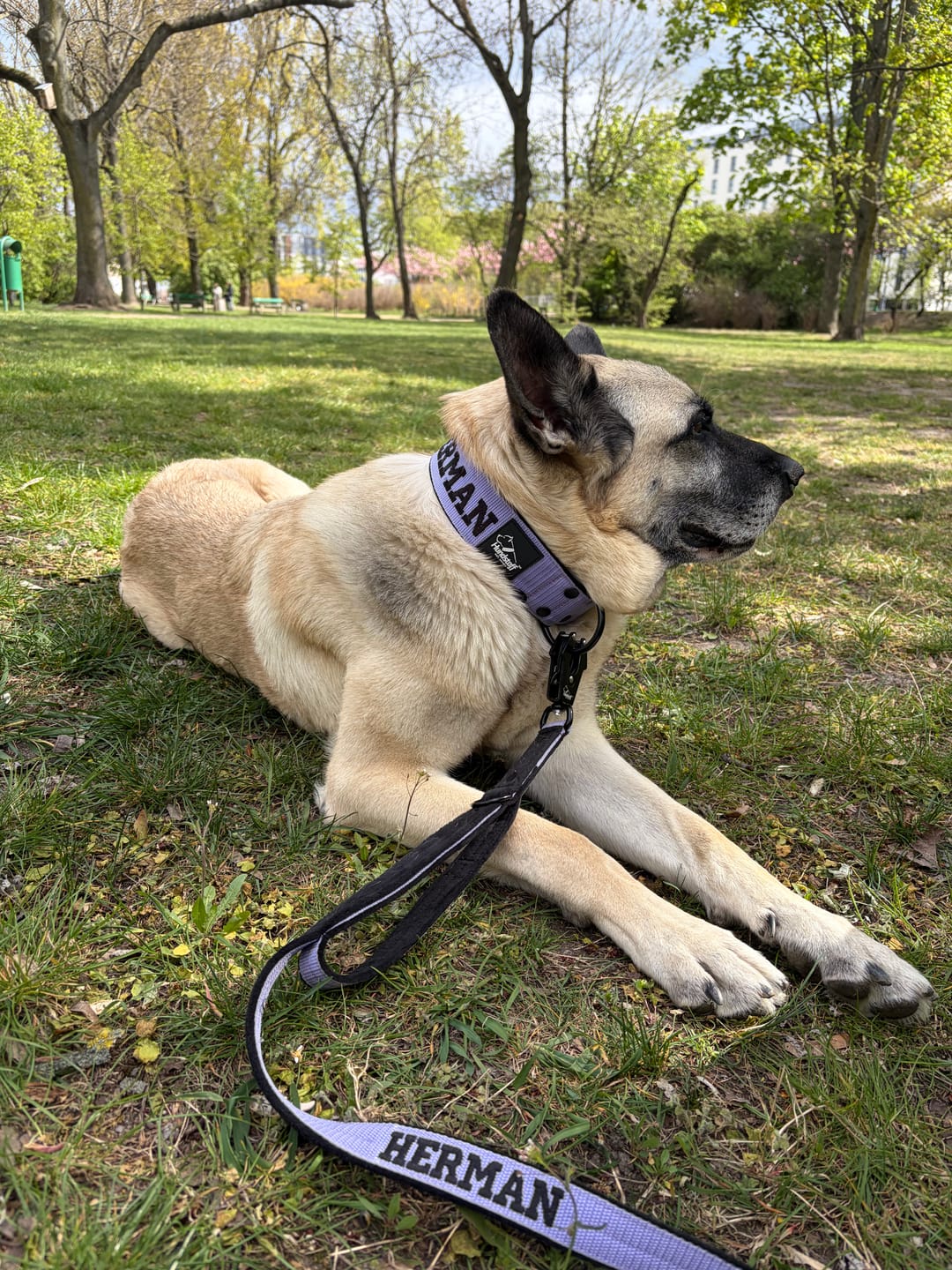 Customer photo review of Obroża dla psa z imieniem - Personal Extreme