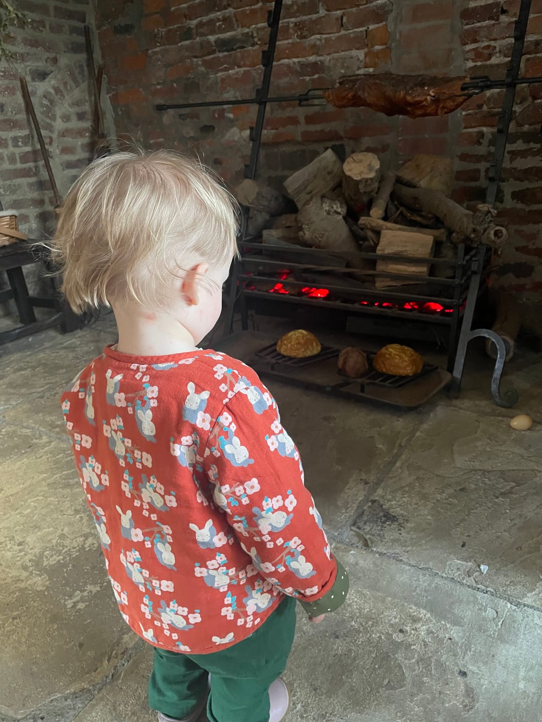 Customer photo review of Little Rabbits Reversible Collarless Spring Jacket